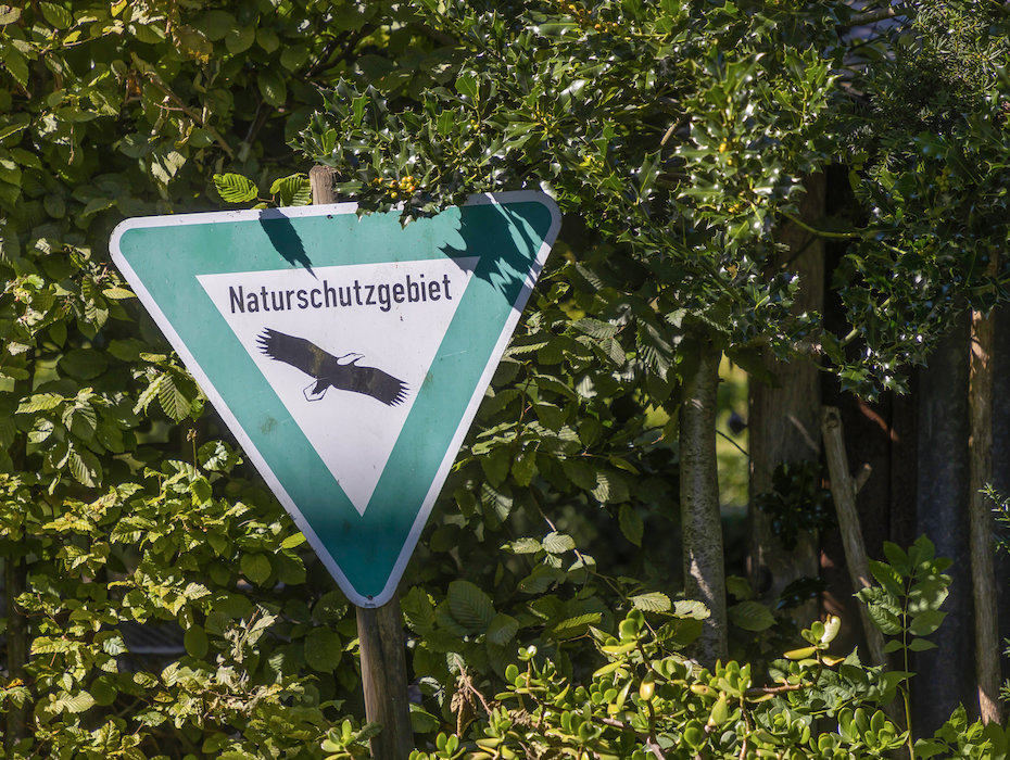 Die Terrasse mit Blick bis zu den Vogesen