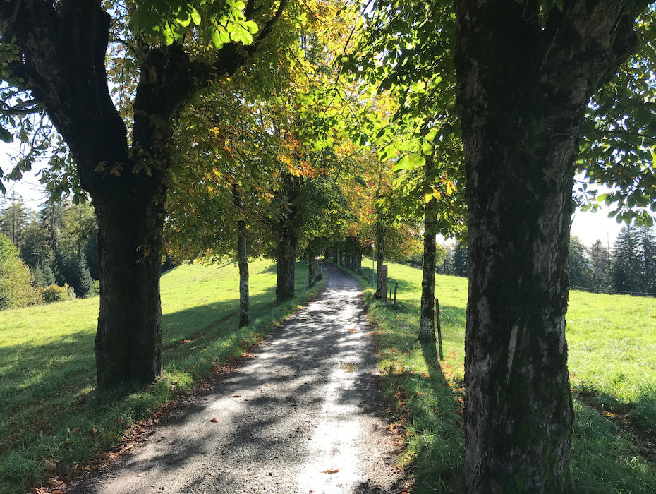 Auf dem Weg zur Ohmenkapelle